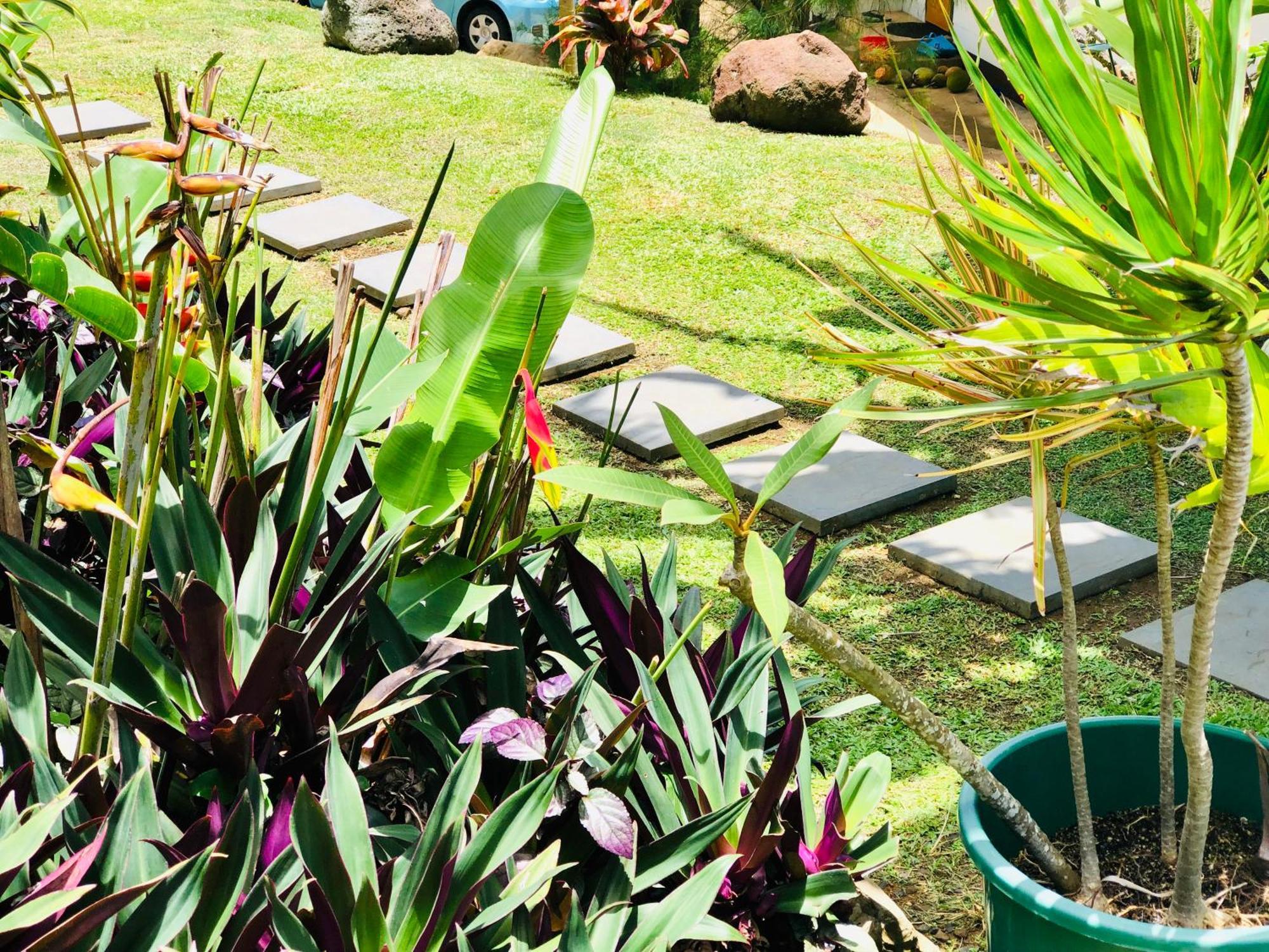 Muri Vista Villas Rarotonga Exterior foto